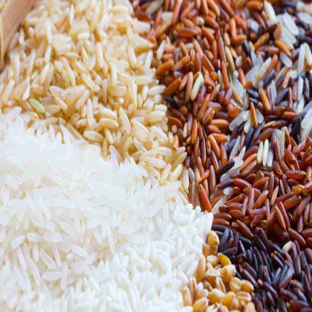 Other-types-of-semi-milled-or-wholly-milled-rice-4