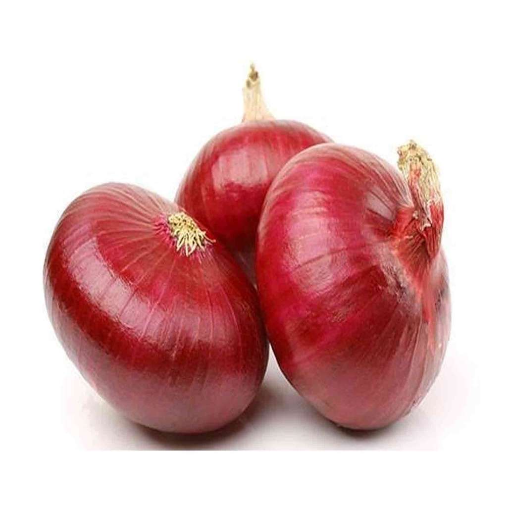 Red-Onion---Bhima-Darkred2