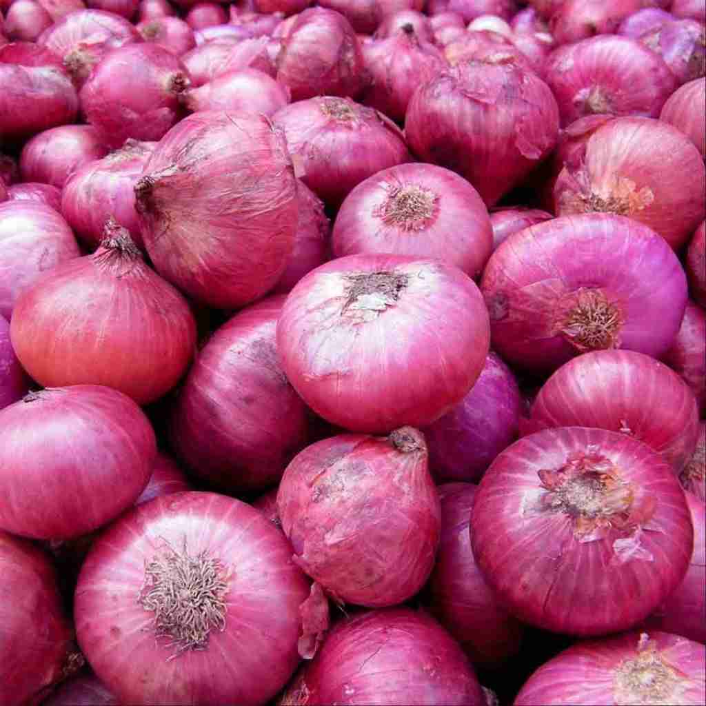 Red-Onion---Pusha-Red-3