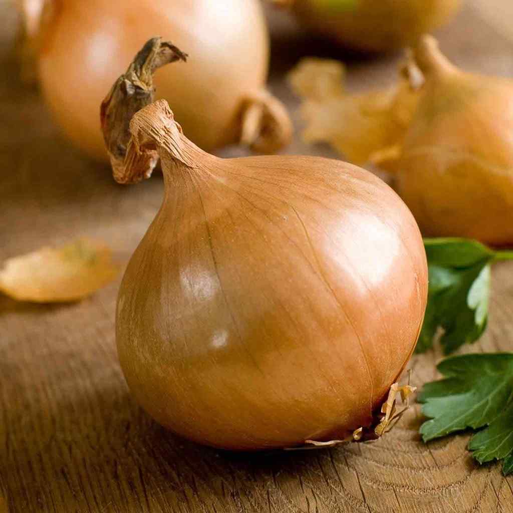 Yellow-Onion---Early-Grano-2